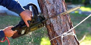 Trusted Garden Acres, CA Tree Services Experts